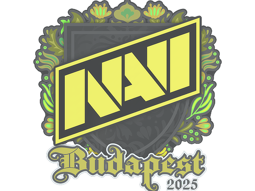 印花 | Natus Vincere | 2025年布达佩斯锦标赛